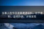 当事人在今日凌晨遭遇猛料，出乎意料，全网炸锅，详情发现