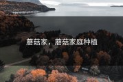蘑菇家，蘑菇家庭种植