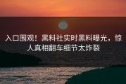 入口围观！黑料社实时黑料曝光，惊人真相翻车细节太炸裂