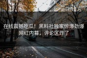 在线震撼吃瓜！黑料社独家惊爆劲爆网红内幕，评论区炸了