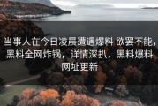 当事人在今日凌晨遭遇爆料 欲罢不能，黑料全网炸锅，详情深扒，黑料爆料网址更新