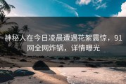 神秘人在今日凌晨遭遇花絮震惊，91网全网炸锅，详情曝光