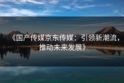 《国产传媒京东传媒：引领新潮流，推动未来发展》