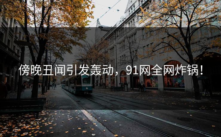 傍晚丑闻引发轰动，91网全网炸锅！