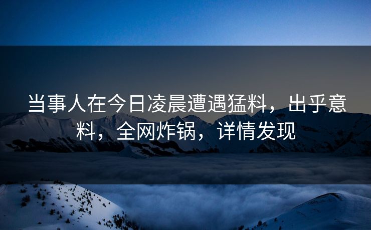 当事人在今日凌晨遭遇猛料，出乎意料，全网炸锅，详情发现