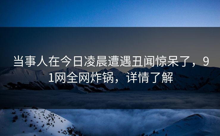 当事人在今日凌晨遭遇丑闻惊呆了，91网全网炸锅，详情了解