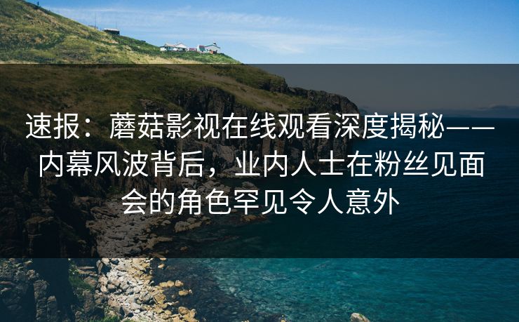 速报：蘑菇影视在线观看深度揭秘——内幕风波背后，业内人士在粉丝见面会的角色罕见令人意外
