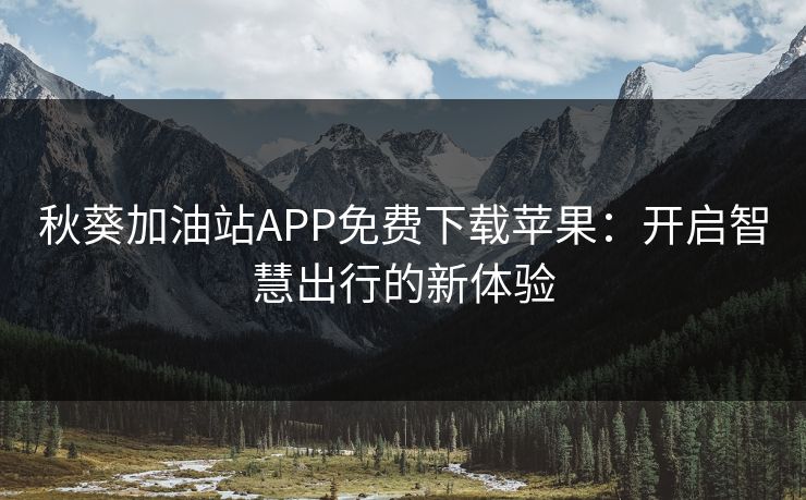 秋葵加油站APP免费下载苹果：开启智慧出行的新体验