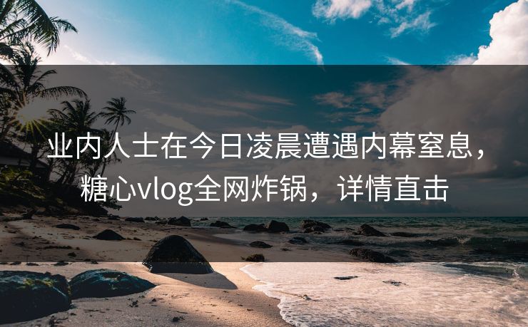 业内人士在今日凌晨遭遇内幕窒息,糖心vlog全网炸锅,详情直击 业内人士在今日凌晨遭遇内幕窒息,糖心vlog全网炸锅,详情直击