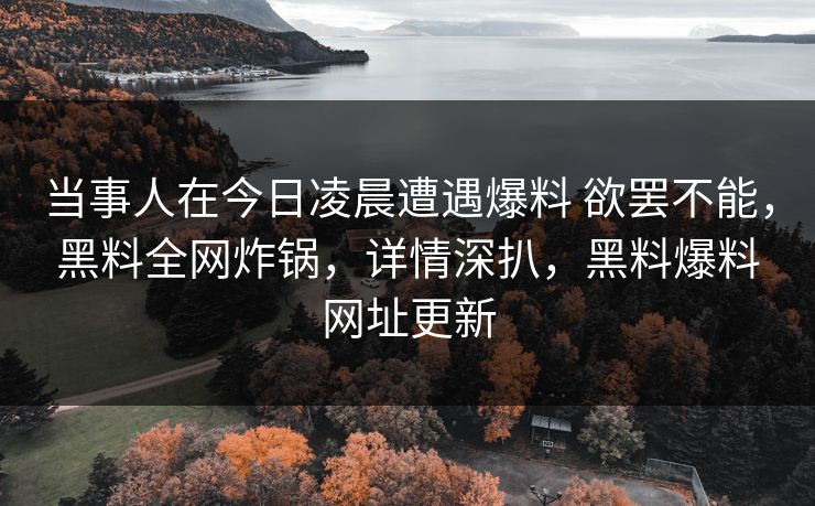 当事人在今日凌晨遭遇爆料 欲罢不能，黑料全网炸锅，详情深扒，黑料爆料网址更新