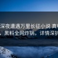 大V在深夜遭遇万里长征小说 真相大白，黑料全网炸锅，详情深扒