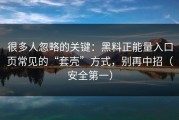 很多人忽略的关键：黑料正能量入口页常见的“套壳”方式，别再中招（安全第一）