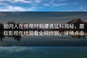 圈内人在傍晚时刻遭遇猛料揭秘，蘑菇影视在线观看全网炸锅，详情点击