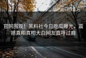 官网围观！黑料社今日吃瓜曝光，震撼真相真相大白网友直呼过瘾