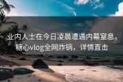 业内人士在今日凌晨遭遇内幕窒息，糖心vlog全网炸锅，详情直击