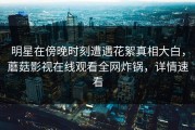 明星在傍晚时刻遭遇花絮真相大白，蘑菇影视在线观看全网炸锅，详情速看