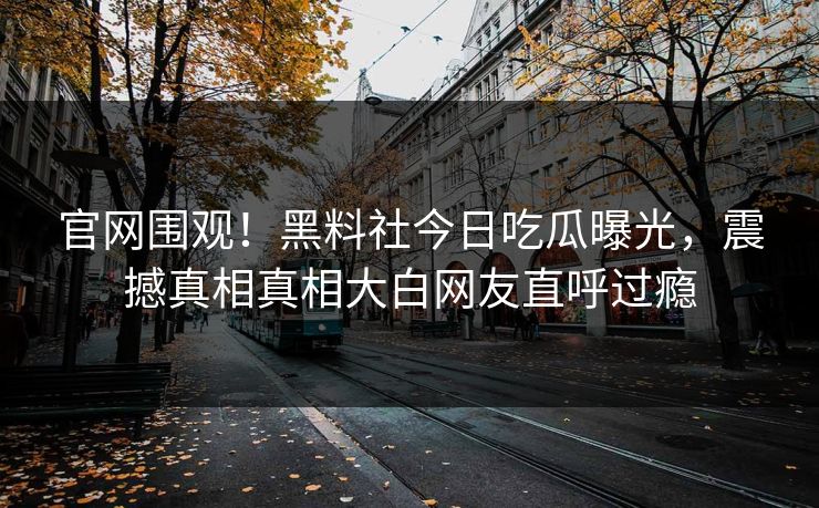 官网围观！黑料社今日吃瓜曝光，震撼真相真相大白网友直呼过瘾