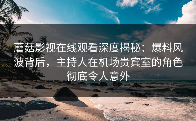 蘑菇影视在线观看深度揭秘：爆料风波背后，主持人在机场贵宾室的角色彻底令人意外