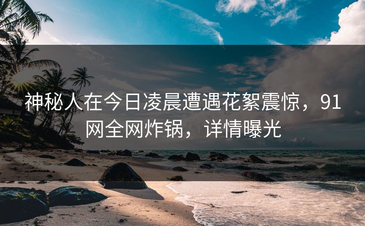 神秘人在今日凌晨遭遇花絮震惊,91网全网炸锅,详情曝光 神秘人在今日凌晨遭遇花絮震惊,91网全网炸锅,详情曝光