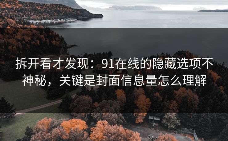 拆开看才发现:91在线的隐藏选项不神秘,关键是封面信息量怎么理解 拆开看才发现:91在线的隐藏选项不神秘,关键是封面信息量怎么理解