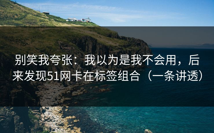 别笑我夸张：我以为是我不会用，后来发现51网卡在标签组合（一条讲透）